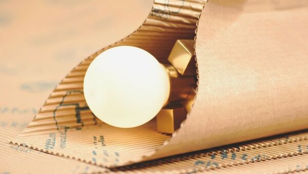 Le carton ondulé BRANOseal : une protection rembourrée durable pour les lampes et les câbles Le carton ondulé BRANOseal protège efficacement les lampes fragiles contre les rayures et les dommages pendant le stockage, le transport et le montage.