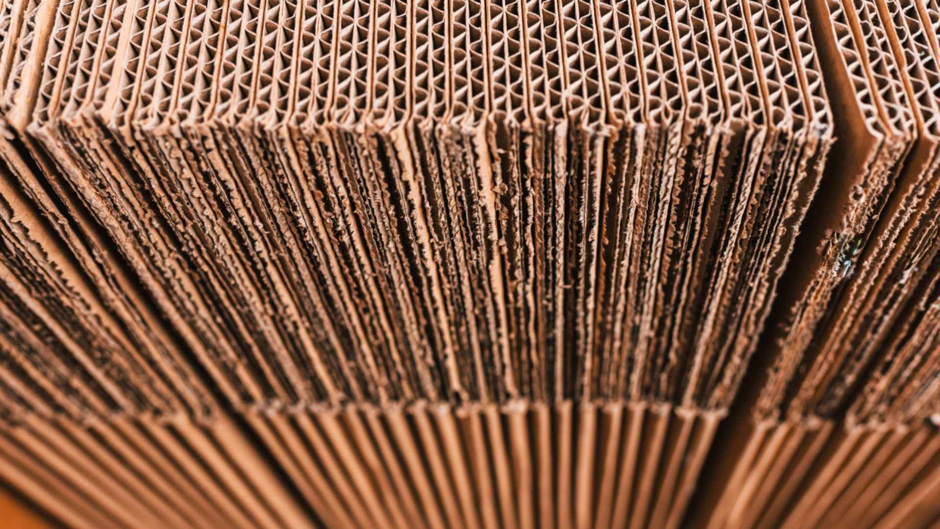 BRANOperl Trennpapier für haftende Wellpappe BRANOperl Trennpapier in der Wellpappenproduktion, eingesetzt zur Vermeidung von Anhaftungen und für saubere Verarbeitungsergebnisse.